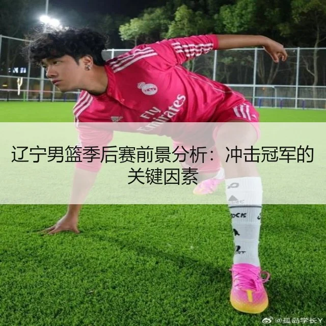 辽宁男篮季后赛前景分析:冲击冠军的关键因素